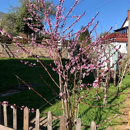 Mandauhaus * Großschönau