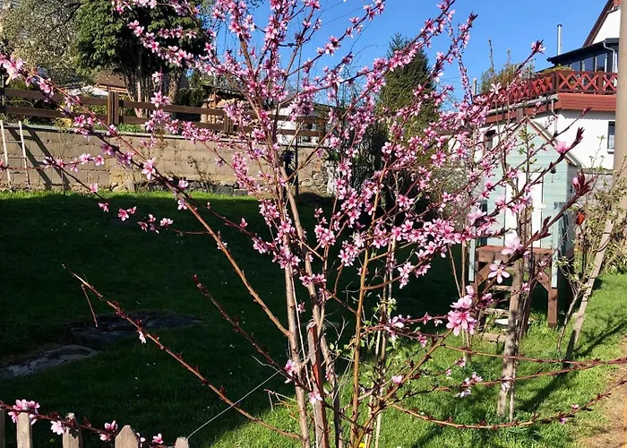 Mandauhaus * غروسشوناو